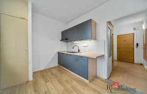 Apartment for rent, 1+1 - Studio, 38m<sup>2</sup>