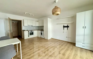 Apartment for rent, 1+KK - Studio, 38m<sup>2</sup>