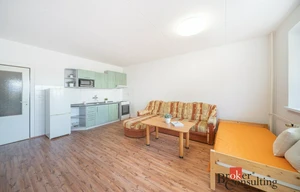 Apartment for rent, 1+KK - Studio, 45m<sup>2</sup>