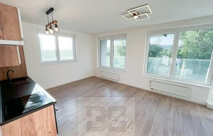 Apartment for rent, 2+kk - 1 bedroom, 56m<sup>2</sup>