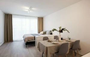 Apartment for rent, 1+KK - Studio, 35m<sup>2</sup>
