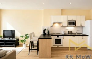 Apartment for rent, 3+kk - 2 bedrooms, 93m<sup>2</sup>