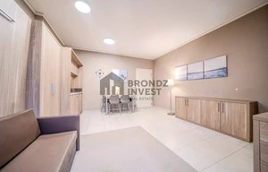 Apartment for rent, 1+KK - Studio, 30m<sup>2</sup>