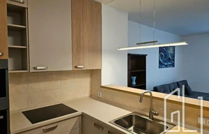 Apartment for rent, 2+kk - 1 bedroom, 51m<sup>2</sup>