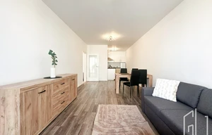 Apartment for rent, 2+kk - 1 bedroom, 55m<sup>2</sup>