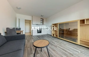 Apartment for rent, 1+KK - Studio, 34m<sup>2</sup>