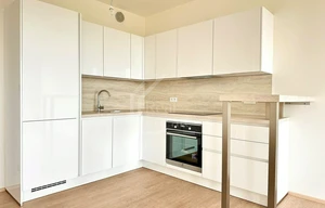 Apartment for rent, 1+KK - Studio, 51m<sup>2</sup>