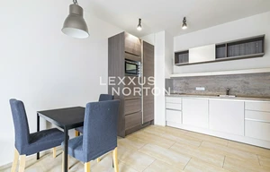 Apartment for rent, 1+KK - Studio, 37m<sup>2</sup>