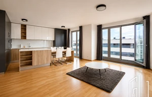Apartment for rent, 3+kk - 2 bedrooms, 124m<sup>2</sup>