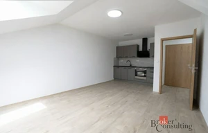 Apartment for rent, 3+kk - 2 bedrooms, 60m<sup>2</sup>