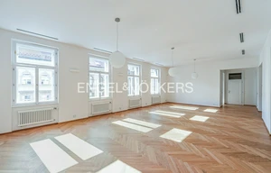 Apartment for rent, 4+kk - 3 bedrooms, 202m<sup>2</sup>
