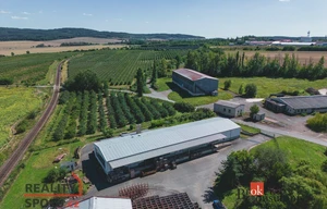 Warehouse for rent, 980m<sup>2</sup>