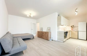 Apartment for rent, 1+KK - Studio, 39m<sup>2</sup>