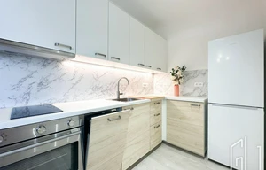 Apartment for rent, 1+KK - Studio, 39m<sup>2</sup>