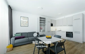 Apartment for rent, 3+kk - 2 bedrooms, 75m<sup>2</sup>