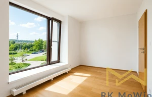 Apartment for rent, 3+kk - 2 bedrooms, 100m<sup>2</sup>