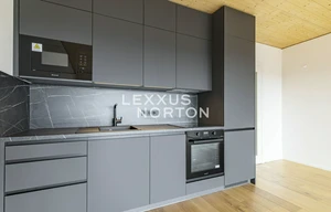 Apartment for rent, 1+KK - Studio, 41m<sup>2</sup>