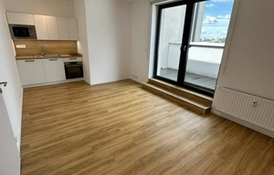 Apartment for rent, 1+KK - Studio, 44m<sup>2</sup>