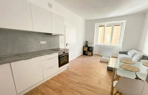 Apartment for rent, 2+kk - 1 bedroom, 55m<sup>2</sup>