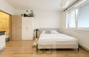 Apartment for rent, 1+KK - Studio, 26m<sup>2</sup>