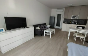 Apartment for rent, 1+KK - Studio, 36m<sup>2</sup>