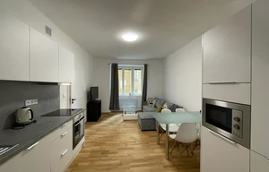 Apartment for rent, 2+kk - 1 bedroom, 55m<sup>2</sup>