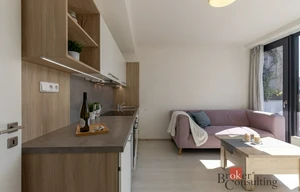Apartment for rent, 1+KK - Studio, 27m<sup>2</sup>