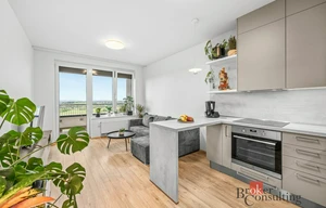 Apartment for rent, 2+kk - 1 bedroom, 48m<sup>2</sup>