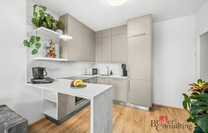 Apartment for rent, 2+kk - 1 bedroom, 48m<sup>2</sup>
