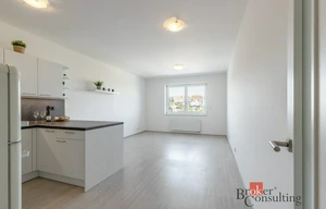 Apartment for rent, 1+KK - Studio, 39m<sup>2</sup>