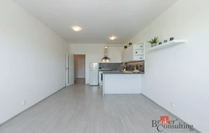 Apartment for rent, 1+KK - Studio, 39m<sup>2</sup>