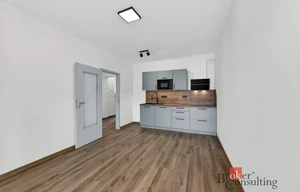 Apartment for sale, 3+kk - 2 bedrooms, 55m<sup>2</sup>