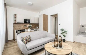 Apartment for rent, 1+KK - Studio, 31m<sup>2</sup>