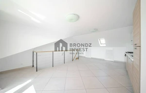 Apartment for rent, 2+kk - 1 bedroom, 60m<sup>2</sup>