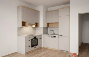 Apartment for rent, 1+KK - Studio, 44m<sup>2</sup>