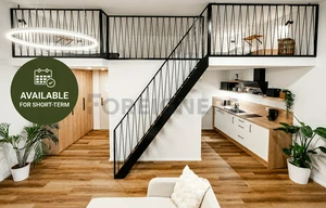 Apartment for rent, 1+KK - Studio, 46m<sup>2</sup>