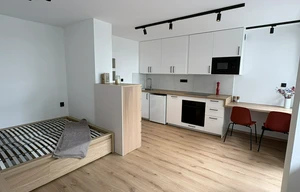 Apartment for rent, 1+KK - Studio, 35m<sup>2</sup>