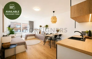 Apartment for rent, 1+KK - Studio, 29m<sup>2</sup>
