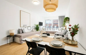 Apartment for rent, 1+KK - Studio, 29m<sup>2</sup>