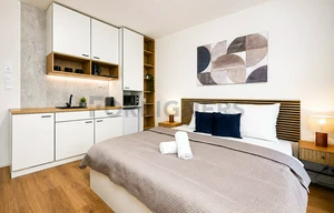 Apartment for rent, 1+KK - Studio, 38m<sup>2</sup>