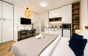 Apartment for rent, 1+KK - Studio, 38m<sup>2</sup>