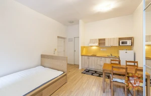 Apartment for rent, 1+KK - Studio, 30m<sup>2</sup>