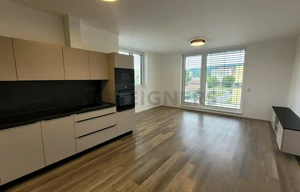 Apartment for rent, 3+kk - 2 bedrooms, 89m<sup>2</sup>