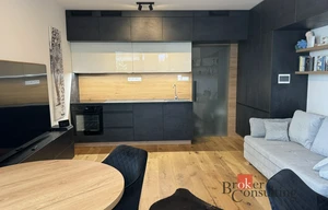 Apartment for rent, 1+KK - Studio, 38m<sup>2</sup>