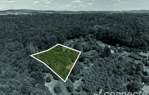 Meadow for sale, 3131m<sup>2</sup>