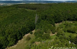 Meadow for sale, 3131m<sup>2</sup>