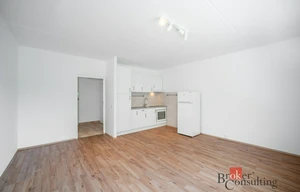 Apartment for rent, 1+KK - Studio, 32m<sup>2</sup>