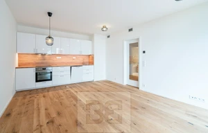 Apartment for rent, 2+kk - 1 bedroom, 55m<sup>2</sup>