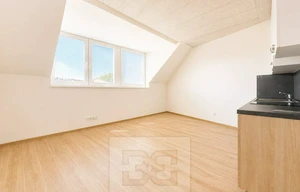 Apartment for rent, 1+KK - Studio, 38m<sup>2</sup>