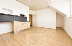 Apartment for rent, 1+KK - Studio, 38m<sup>2</sup>